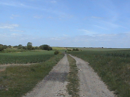 Across The Marshes